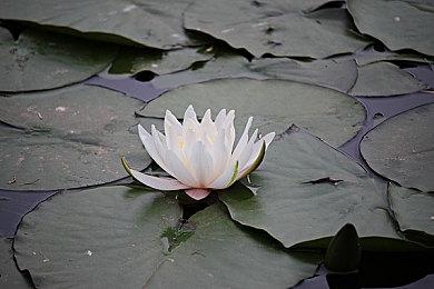 R星：没想到《GTAOL》能获得成功 出乎我们的意料